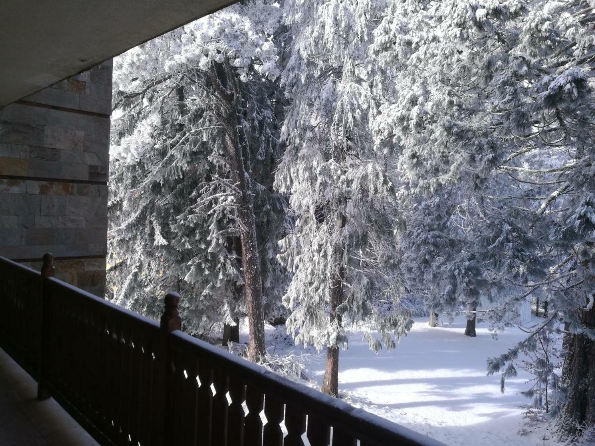 Luxury Apartament In "Sequoia" 2 Borovets Exterior photo